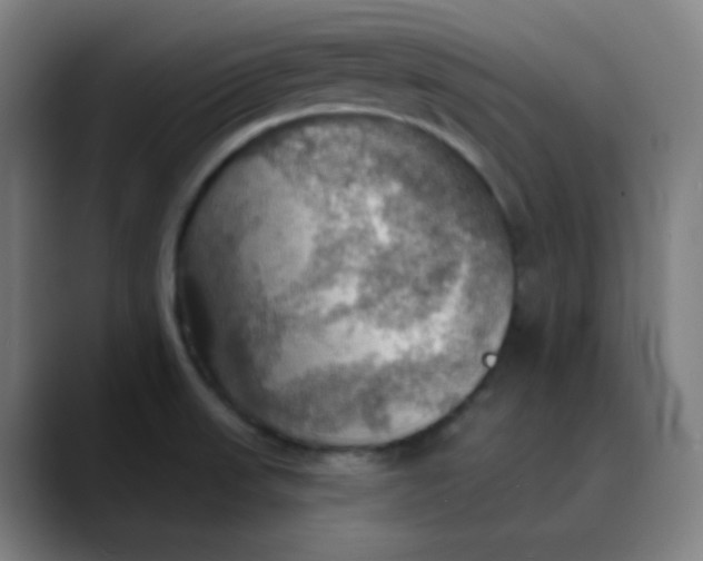 X0000089721523200707121421