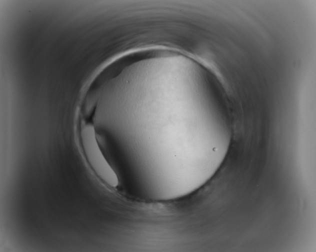 X0000089721524200707121421