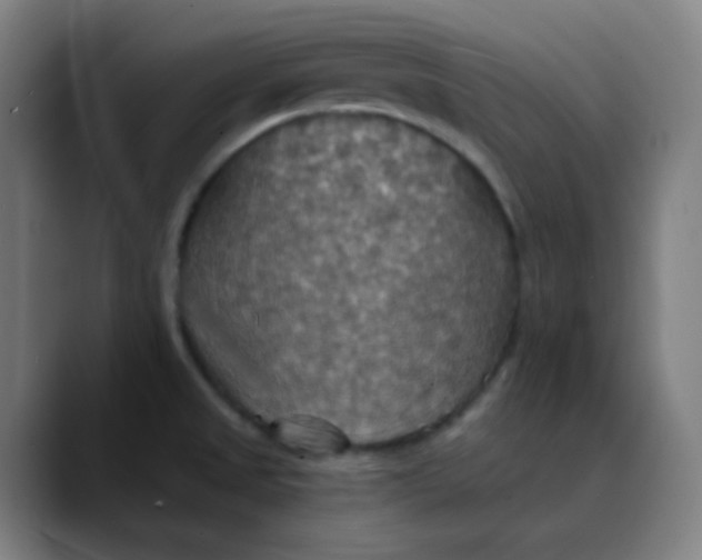 X0000089721525200707121421