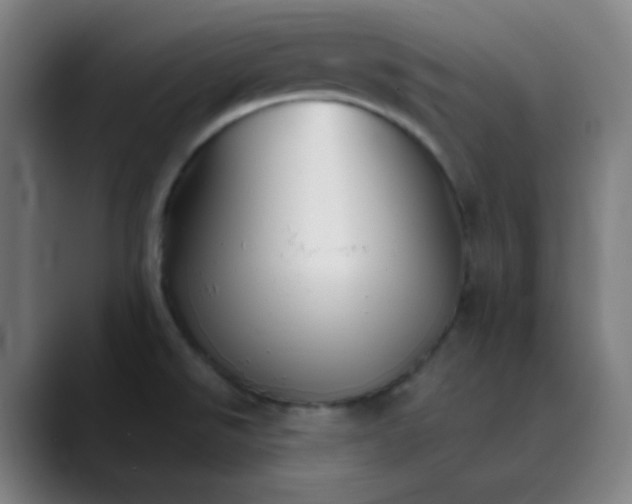 X0000089721526200707121421