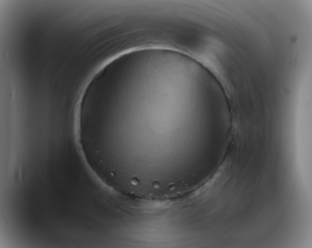 X0000089721528200707121421