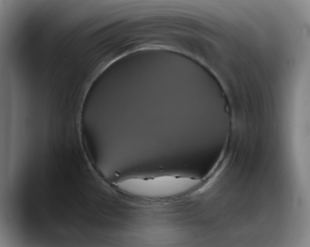 X0000089721529200707121421