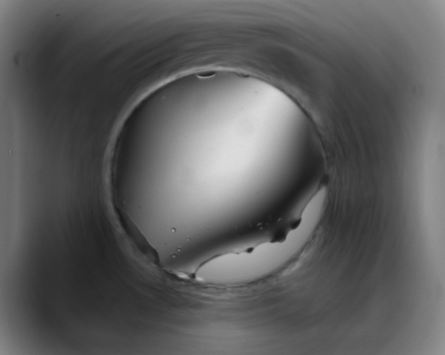 X0000089721530200707121422