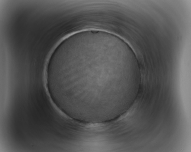 X0000089721531200707121422