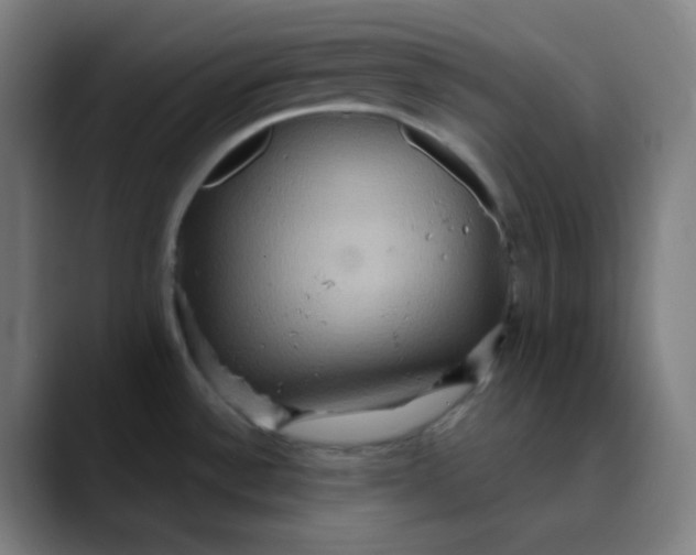 X0000089721532200707121422