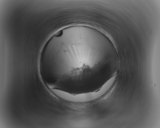 X0000089721533200707121422