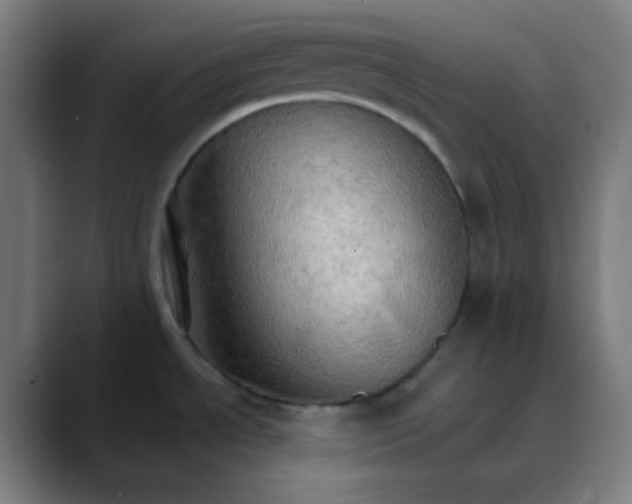 X0000089721534200707121422