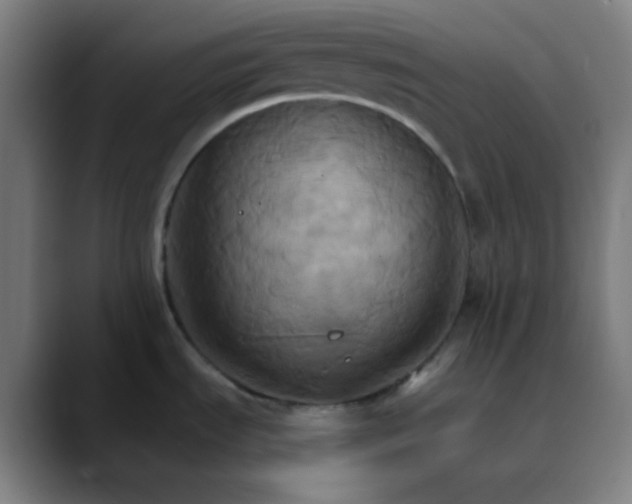 X0000089721535200707121422