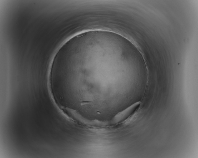 X0000089721536200707121422