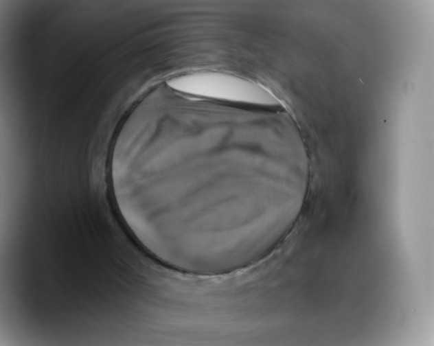 X0000089720002200707201830