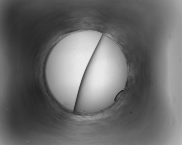 X0000089720005200707201830