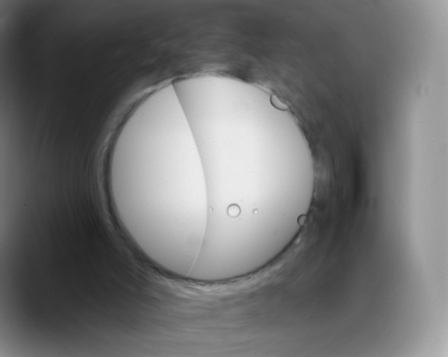 X0000089720006200707201830