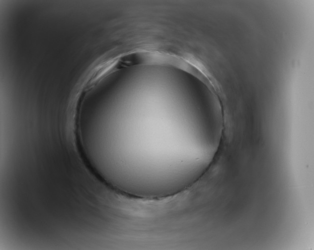 X0000089720007200707201830
