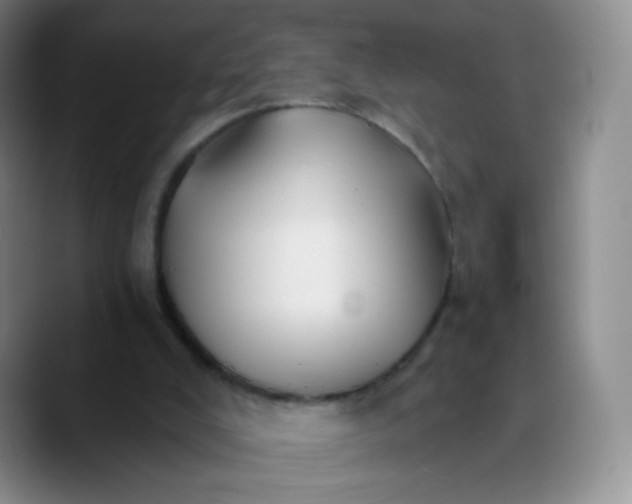 X0000089720008200707201830