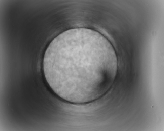 X0000089720010200707201830