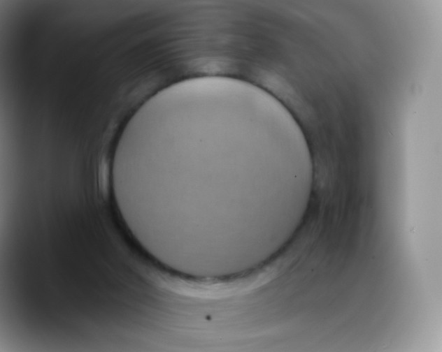 X0000089720014200707201830