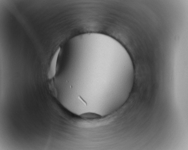 X0000089720017200707201830