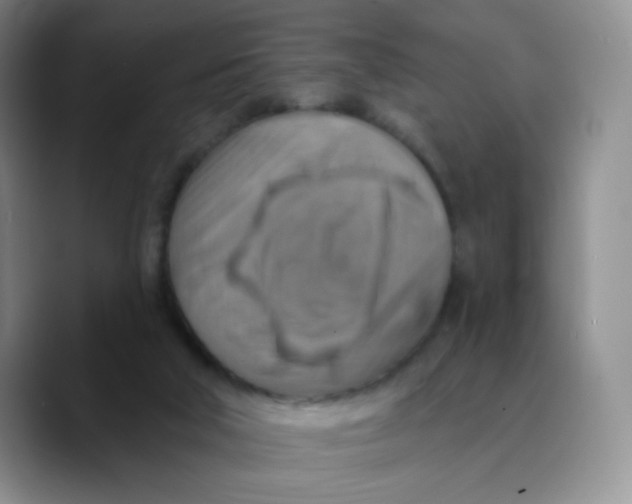 X0000089720018200707201830