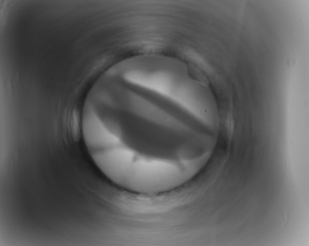 X0000089720022200707201830