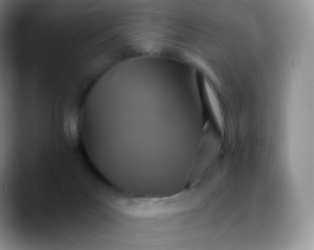 X0000089720023200707201830