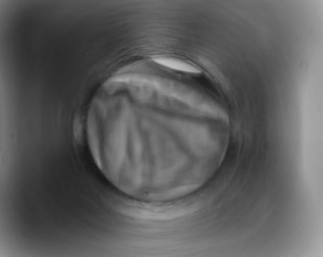 X0000089720026200707201830