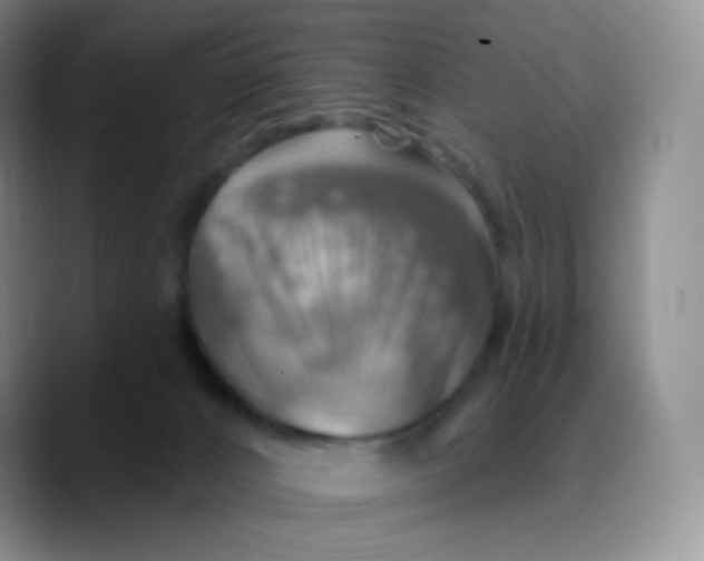 X0000089720032200707201830