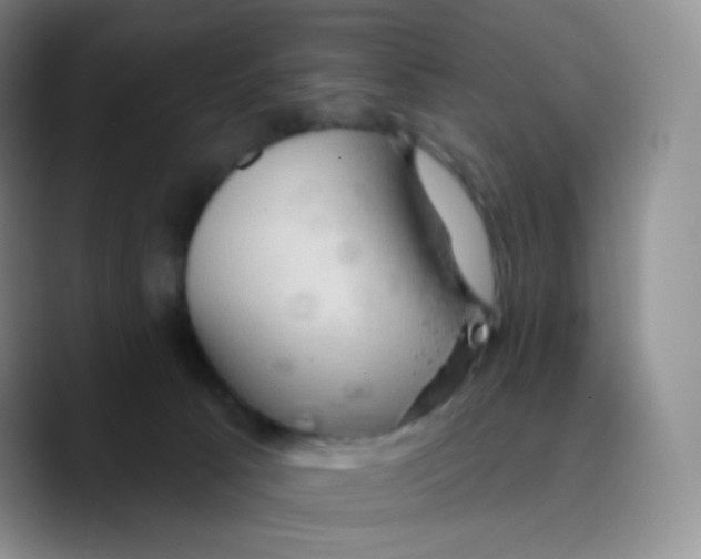 X0000089720033200707201830