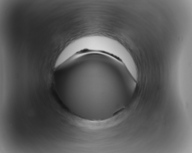X0000089720039200707201829