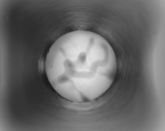 X0000089720042200707201829