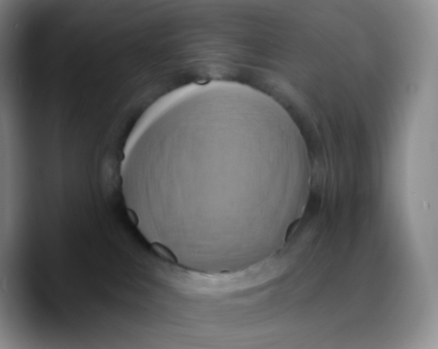 X0000089720043200707201829