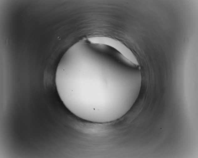 X0000089720044200707201829