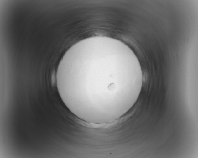 X0000089720046200707201829