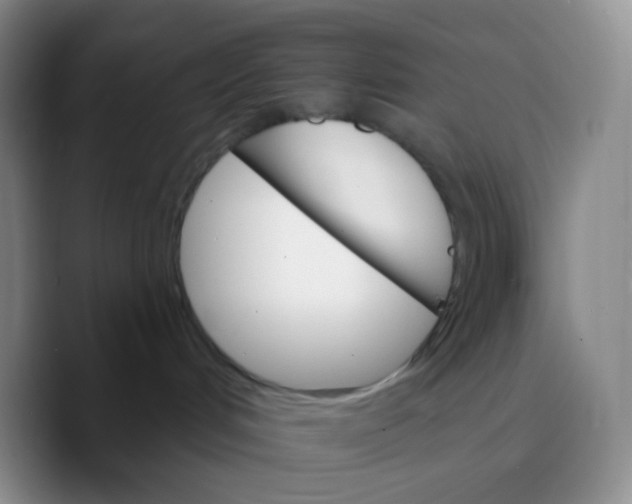 X0000089720048200707201829