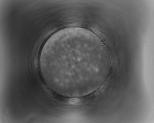 X0000089720050200707201829