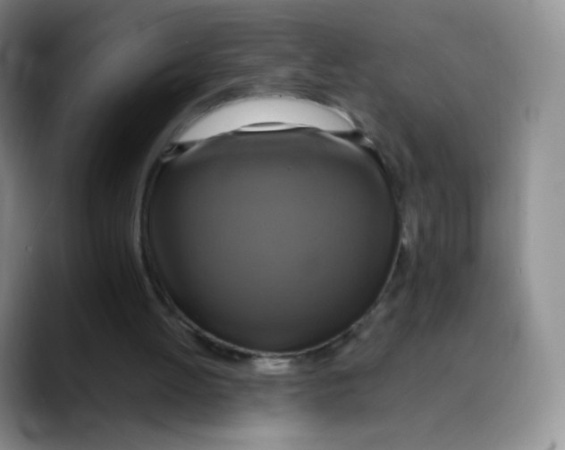 X0000089720052200707201829