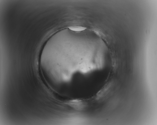 X0000089720053200707201829