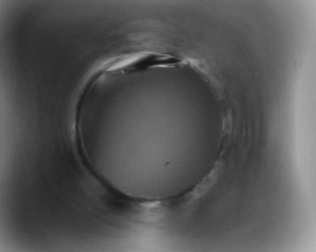 X0000089720054200707201829