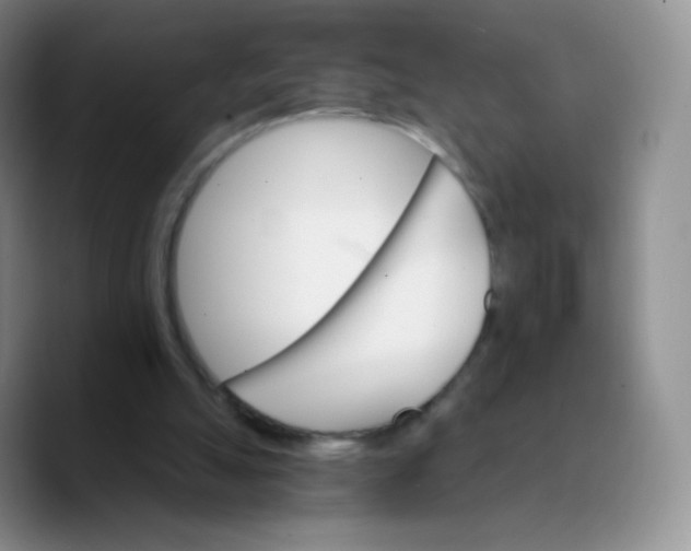 X0000089720055200707201829