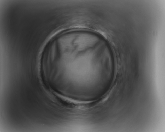 X0000089720056200707201829