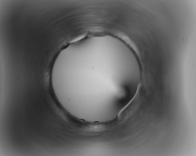 X0000089720057200707201829