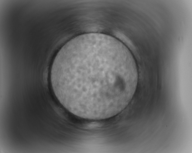 X0000089720058200707201829