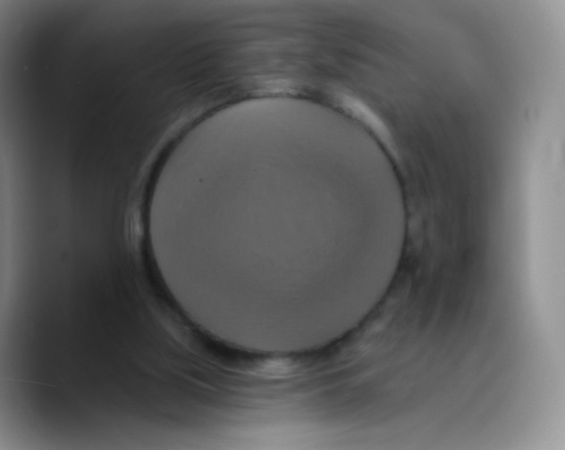 X0000089720059200707201829