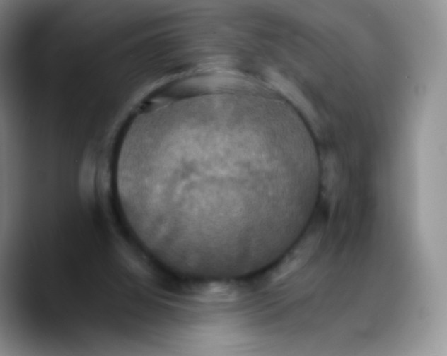 X0000089720060200707201829