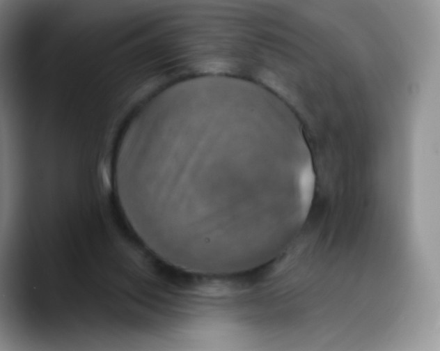 X0000089720062200707201829
