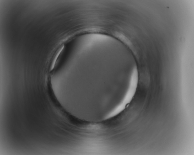 X0000089720063200707201829
