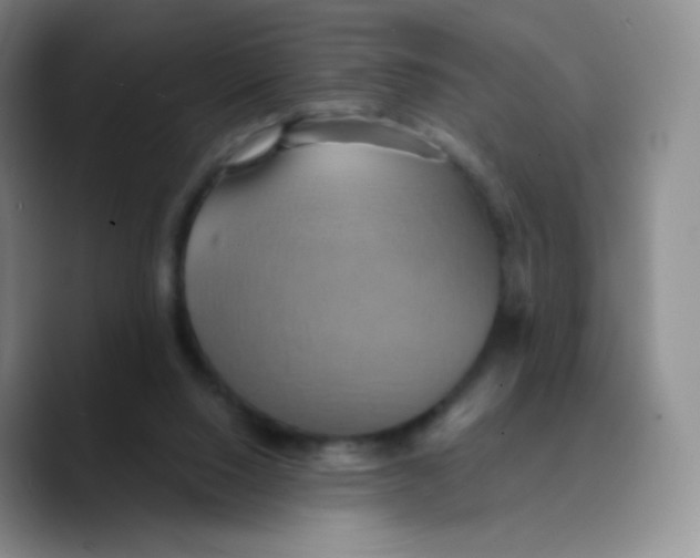 X0000089720064200707201829