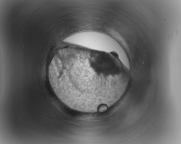 X0000089720065200707201829