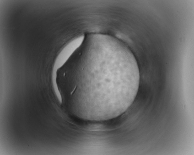 X0000089720066200707201829