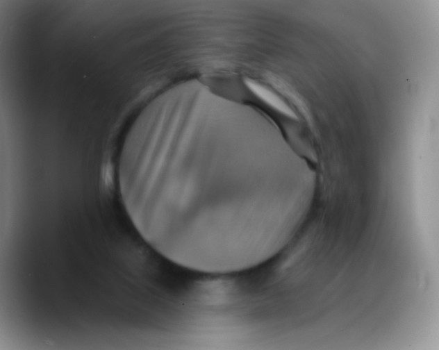 X0000089720067200707201829