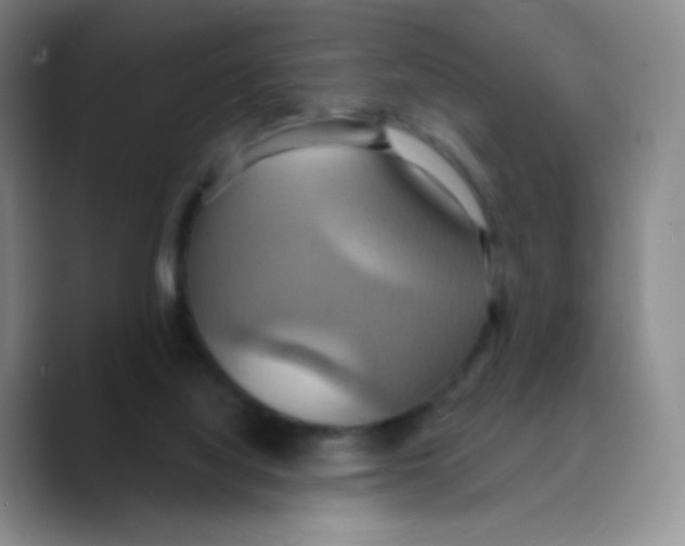 X0000089720068200707201829